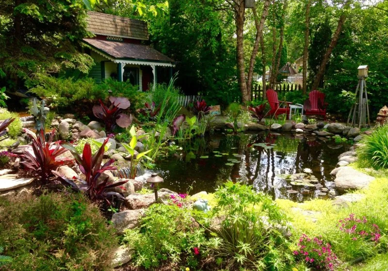 How to Landscape for Seasonal Wildlife Attraction in Your Garden