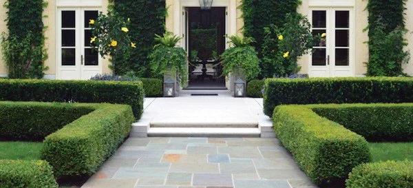 How to Plan an Entryway Garden That Welcomes Guests: Design Tips and Ideas