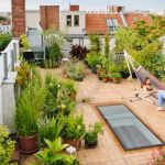 How to Landscape a Rooftop Garden for Relaxation