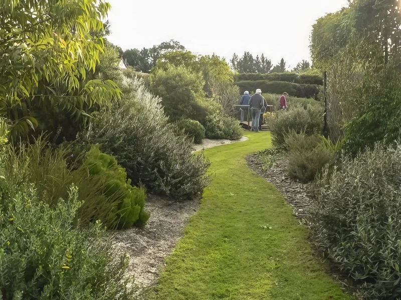 How to Grow a Native Plant Garden with Minimal Care – Expert Tips
