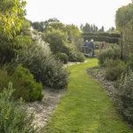 How to Grow a Native Plant Garden with Minimal Care – Expert Tips