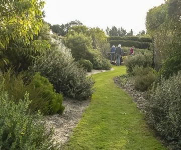 How to Grow a Native Plant Garden with Minimal Care – Expert Tips