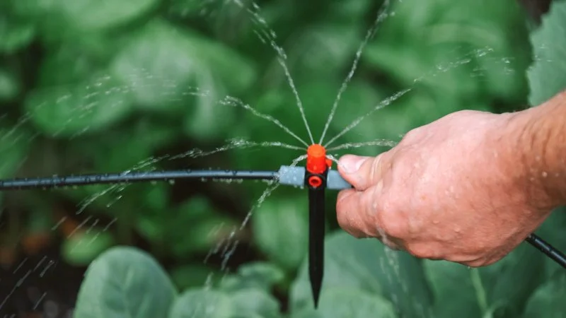 How to Install a Drip Irrigation System in Your Landscape