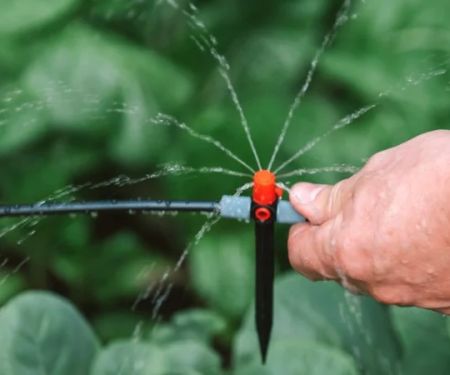 How to Install a Drip Irrigation System in Your Landscape