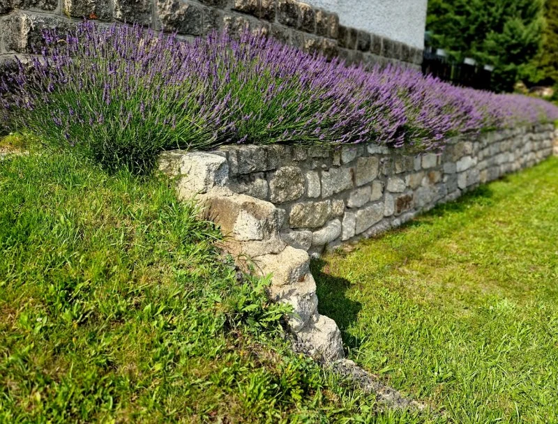 How to Prevent Soil Erosion Naturally Without Retaining Walls