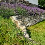 How to Prevent Soil Erosion Naturally Without Retaining Walls