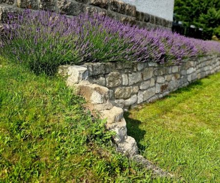 How to Prevent Soil Erosion Naturally Without Retaining Walls