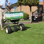 How Often Should You Fertilize Your Lawn for a Lush, Green Yard?