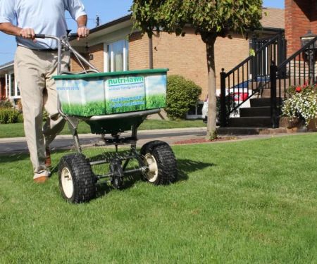 How Often Should You Fertilize Your Lawn for a Lush, Green Yard?