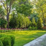 Tips for Maintaining a Lawn in a Hot, Dry Summer | Beautiful Landscapes