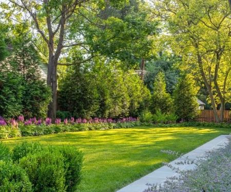 Tips for Maintaining a Lawn in a Hot, Dry Summer | Beautiful Landscapes