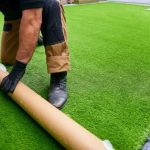 Lazy Lawn Care: How to Maintain Grass with Minimal Effort