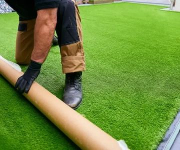 Lazy Lawn Care: How to Maintain Grass with Minimal Effort