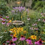 How to Design an Eco-Friendly Landscape Using Native Flora