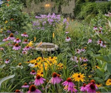 How to Design an Eco-Friendly Landscape Using Native Flora