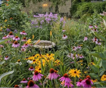 How to Design an Eco-Friendly Landscape Using Native Flora