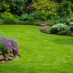 How to Use Layers of Planting to Create Depth and Balance in Your Garden