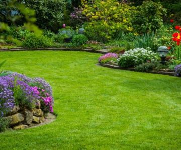 How to Use Layers of Planting to Create Depth and Balance in Your Garden
