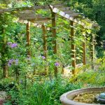 How to Grow Ornamental Vines for Arbors and Trellises