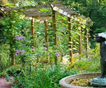How to Grow Ornamental Vines for Arbors and Trellises