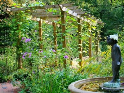 How to Grow Ornamental Vines for Arbors and Trellises