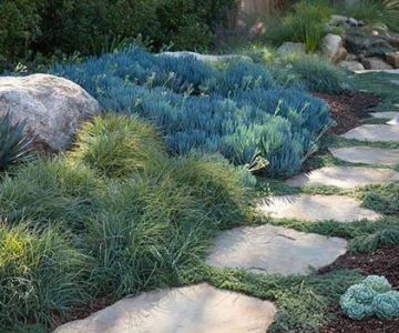 How to Landscape With Textured Leaves for Visual Interest