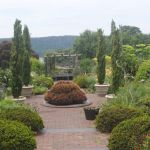 How to Use Structural Plants for Yearly Framework