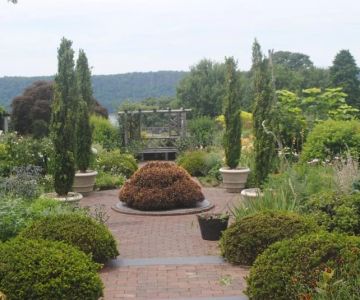 How to Use Structural Plants for Yearly Framework