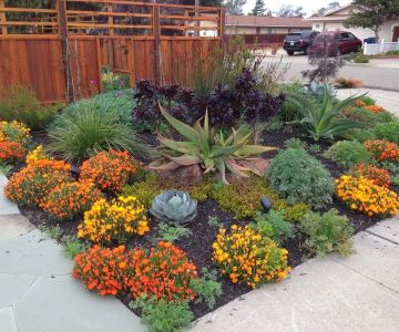 Best Native Plants for Drought-Tolerant Landscaping: A Guide for Sustainable Gardening