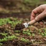 How to Choose the Right Soil & Amendments for Your Region