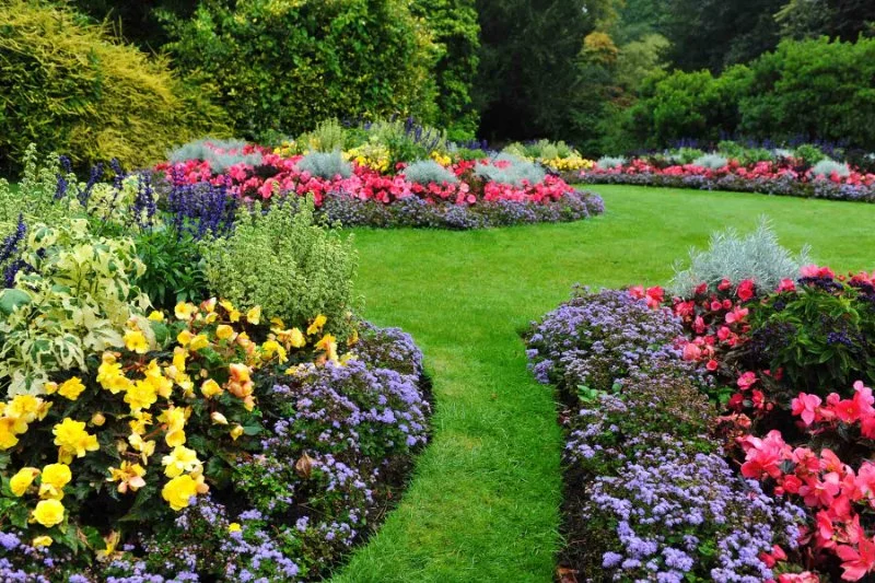How to Choose Plants That Don’t Compete: A Guide for Perfect Landscaping