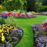How to Choose Plants That Don’t Compete: A Guide for Perfect Landscaping
