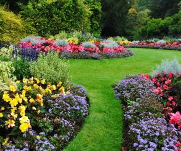How to Choose Plants That Don’t Compete: A Guide for Perfect Landscaping