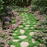 How to Use Perennial Borders to Frame Walkways: Tips for Stunning Garden Designs