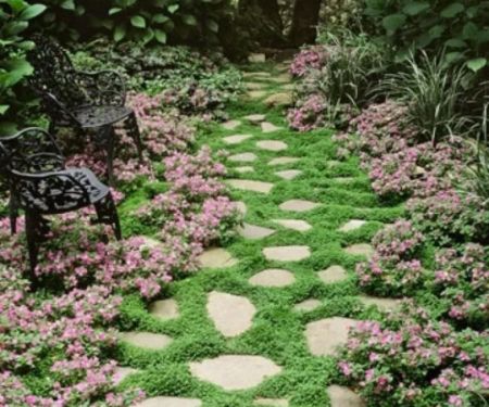 How to Use Perennial Borders to Frame Walkways: Tips for Stunning Garden Designs