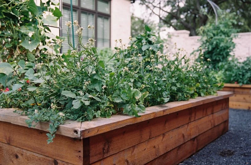 How to Use Planters to Extend Planting Zones