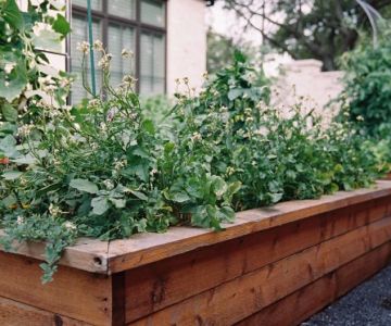 How to Use Planters to Extend Planting Zones