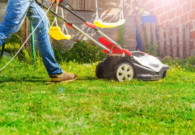 How to Revive Dead Grass: A Complete Step-by-Step Guide to Lawn Care