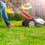 How to Revive Dead Grass: A Complete Step-by-Step Guide to Lawn Care