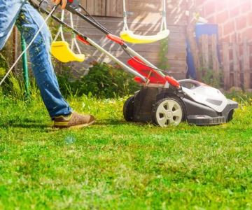 How to Revive Dead Grass: A Complete Step-by-Step Guide to Lawn Care
