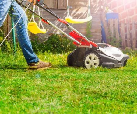 How to Revive Dead Grass: A Complete Step-by-Step Guide to Lawn Care