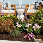 What Is Meadoscaping? A Low-Maintenance Trend for 2025