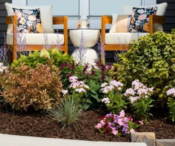 What Is Meadoscaping? A Low-Maintenance Trend for 2025