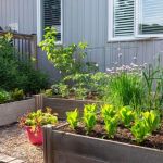 How to Grow Herbs and Vegetables in Limited Space | Beautiful Landscapes