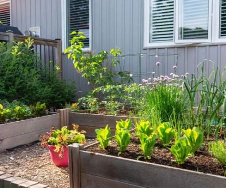 How to Grow Herbs and Vegetables in Limited Space | Beautiful Landscapes