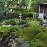 How to Use Moss & Ferns in Shady Landscapes for Beautiful Gardens