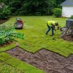 How to Transition from Sod to Native Meadow