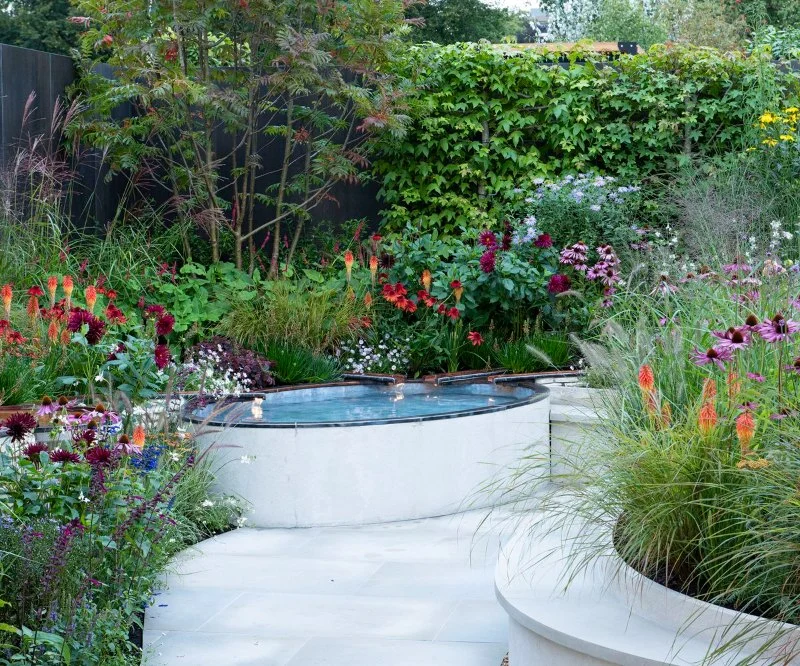 How to Design a Sensory Garden: Enhancing Smell, Touch, and Sound