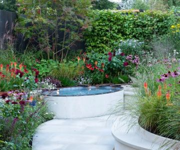 How to Design a Sensory Garden: Enhancing Smell, Touch, and Sound