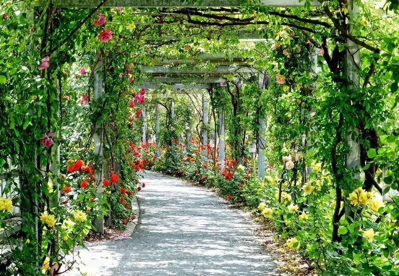 How to Design for Sustainability Without Sacrificing Beauty